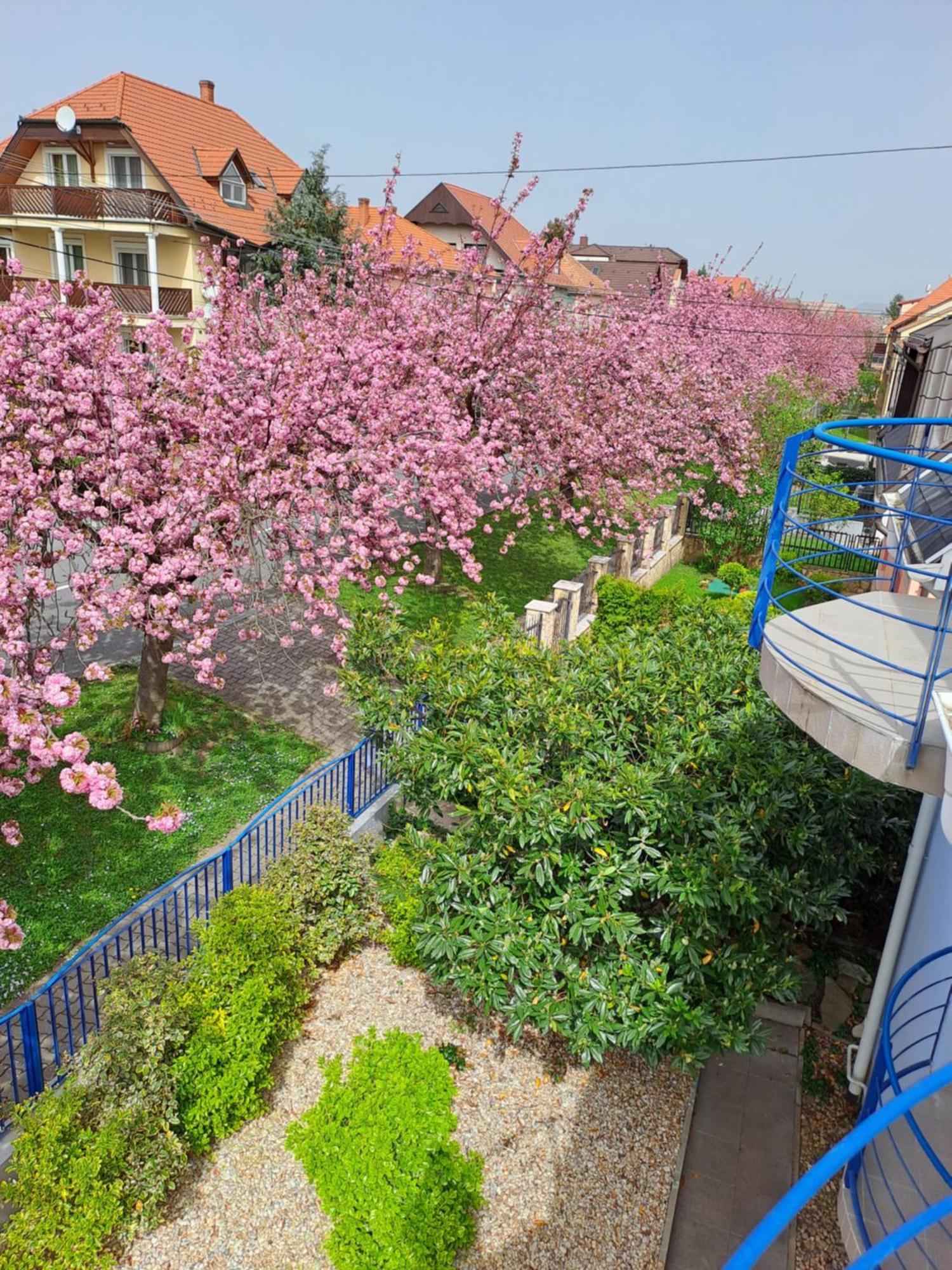 Laguna Apartmanhaz Хевиз Экстерьер фото